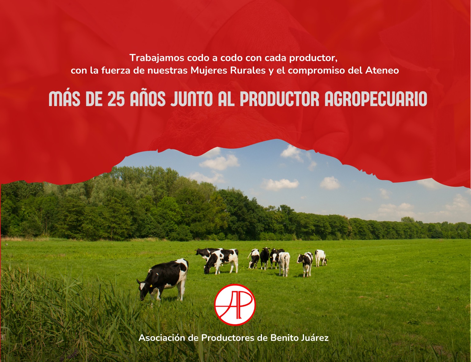 ASOCIACION DE PRODUCTORES